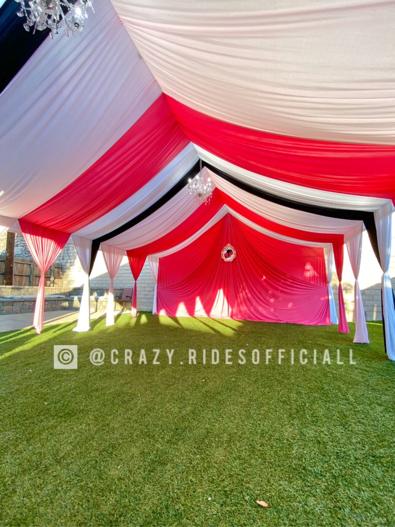 Girls just want to have fun birthday party idea! Pink Birthday Party Pink Tent Drape